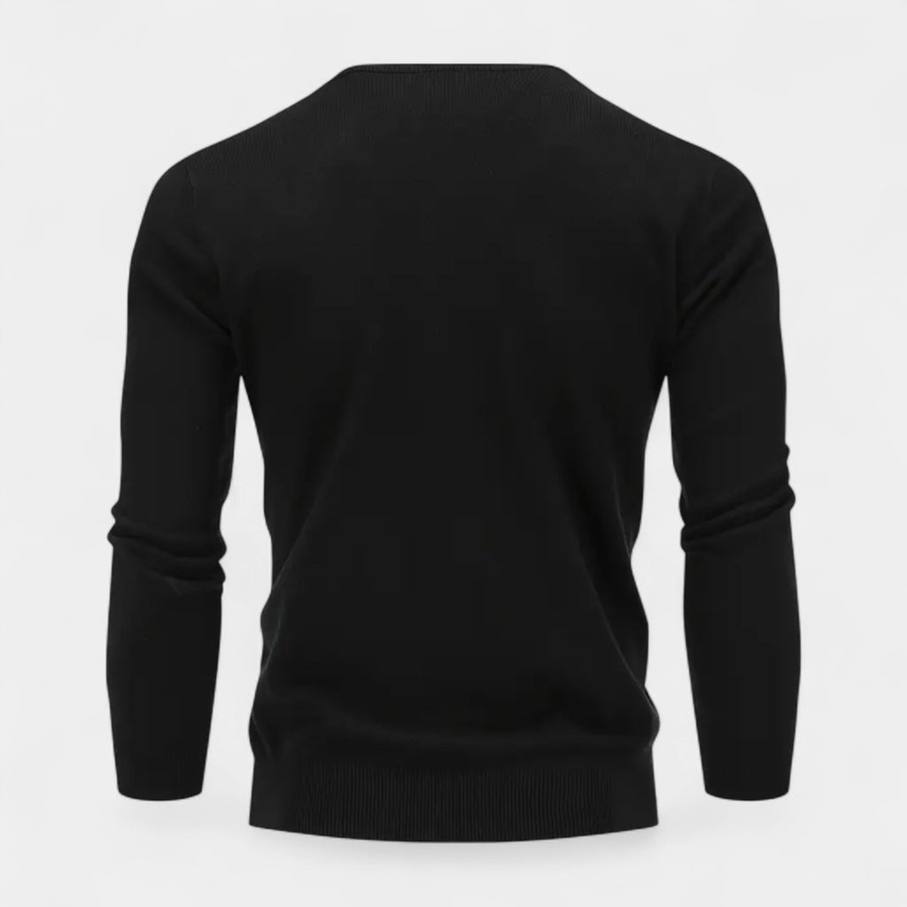 V-Neck Fine-Gauge Knit Sweater Regular Fit for Men