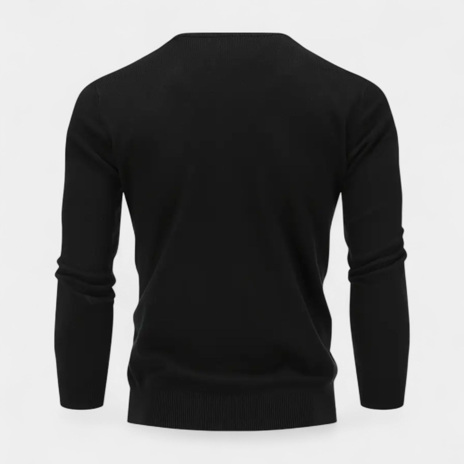 V-Neck Fine-Gauge Knit Sweater Regular Fit for Men