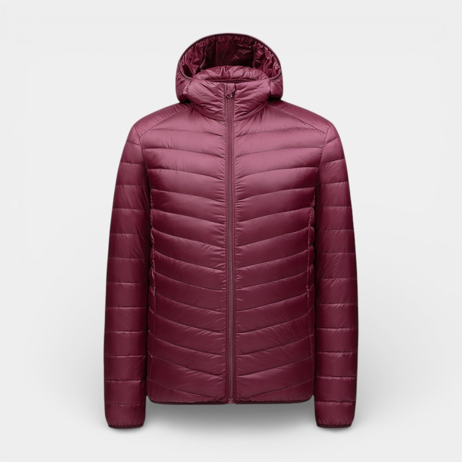 Hooded Quilted Puffer Jacket Lightweight Regular Fit for Men