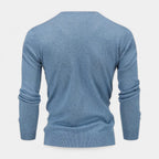 V-Neck Fine-Gauge Knit Sweater Regular Fit for Men