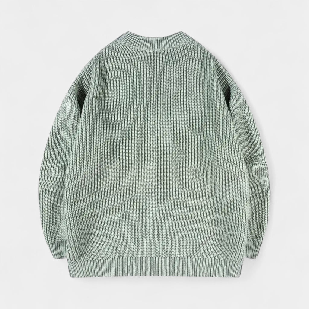 Crew Neck Ribbed Knit Sweater Regular Fit for Men