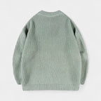 Crew Neck Ribbed Knit Sweater Regular Fit for Men