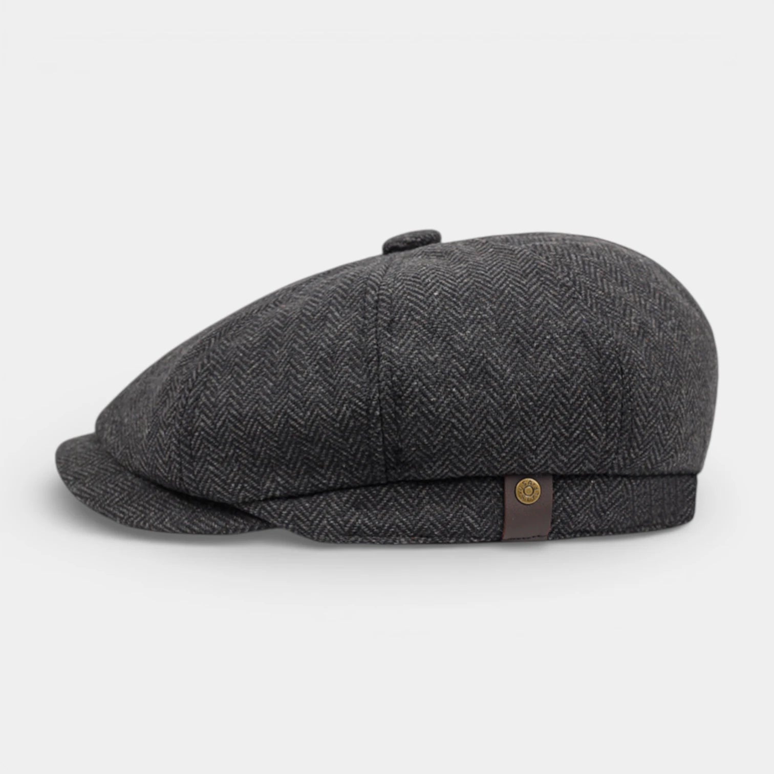 Multi-Panel Newsboy Cap Curved Brim for Men