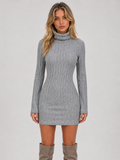 Women's Ribbed Roll Neck Mini Dress
