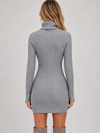 Women's Ribbed Roll Neck Mini Dress