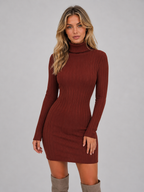 Women's Ribbed Roll Neck Mini Dress