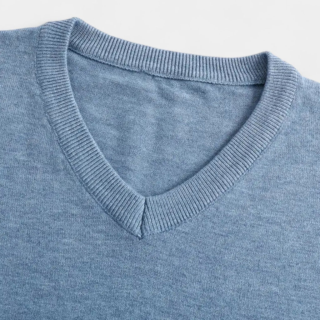 V-Neck Fine-Gauge Knit Sweater Regular Fit for Men