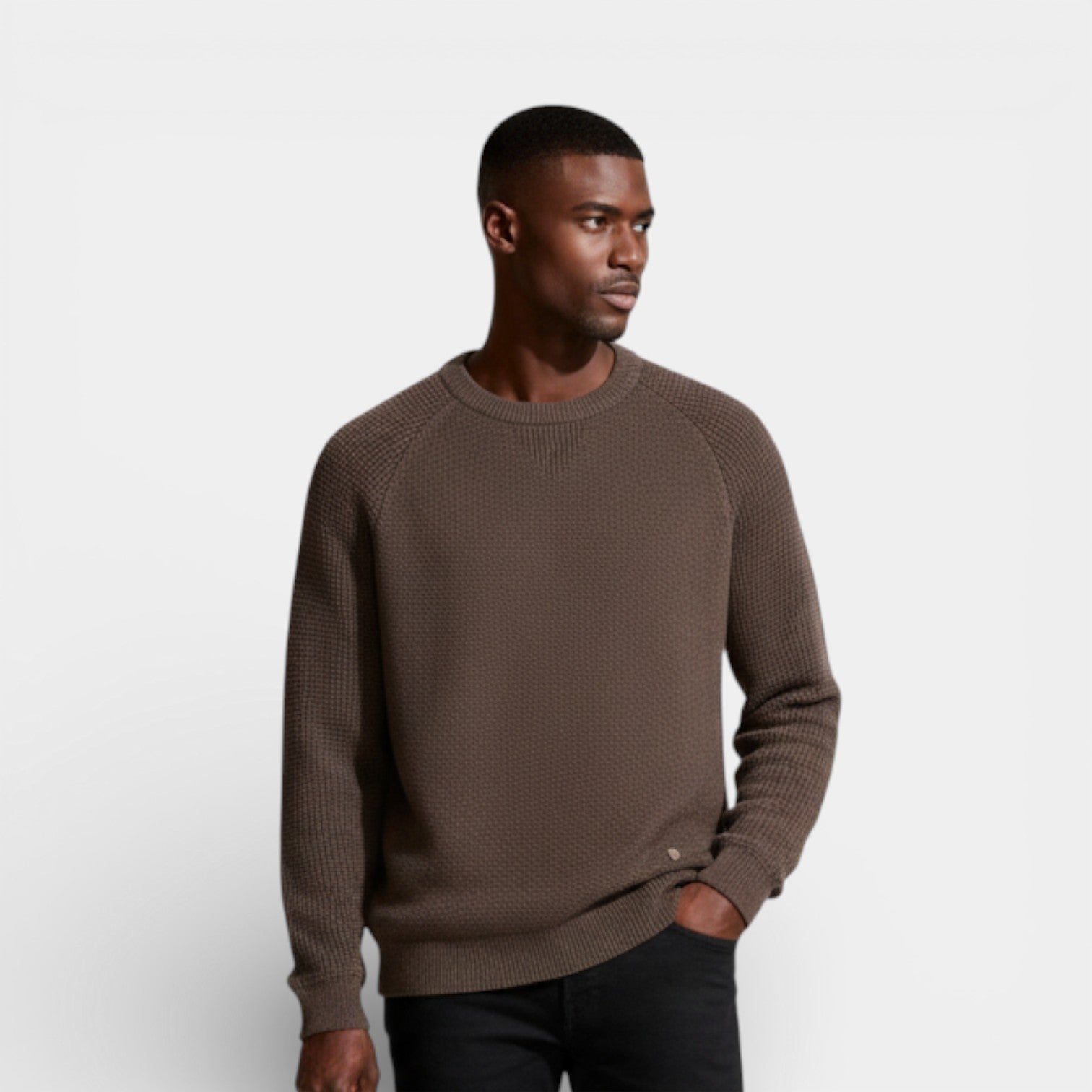 Textured Crewneck Knit Sweater Regular Fit for Men