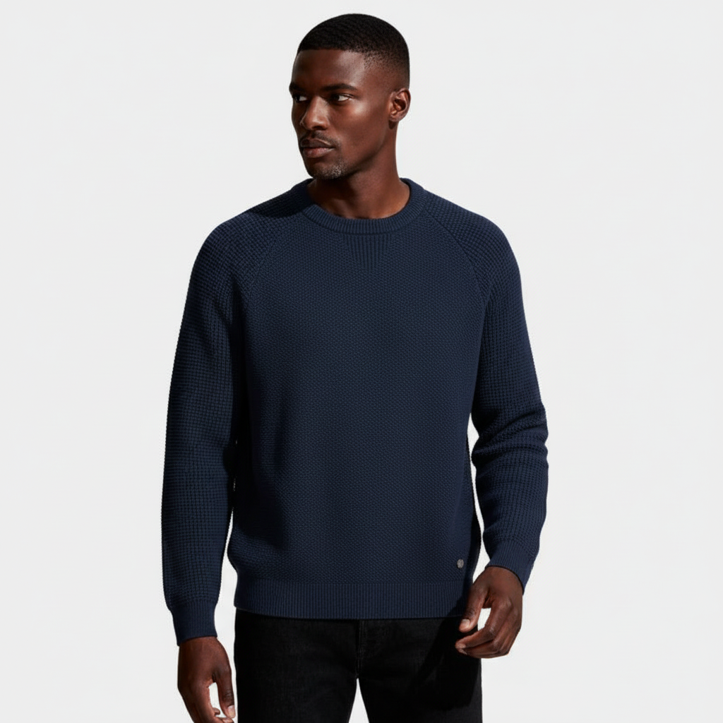 Textured Crewneck Knit Sweater Regular Fit for Men