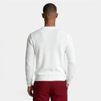 Crew Neck Textured Knit Sweater Regular Fit for Men