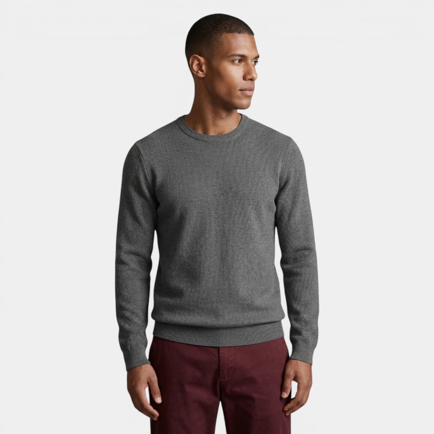 Crew Neck Textured Knit Sweater Regular Fit for Men