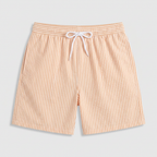 Striped Swim Shorts Elastic Waist Drawcord for Men