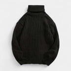 Ribbed Knit Turtleneck Sweater Regular Fit for Men